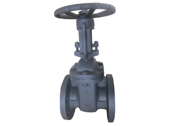 125LB OS &Y Gate Valve