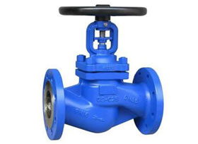 GS-C25Bellow Seal Globe Valve