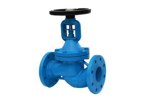 Bellow Seal Globe Valve