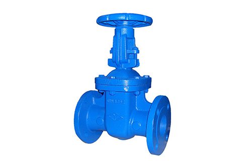 Cast Iron Gate Valve