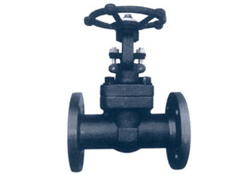 Gate Valve