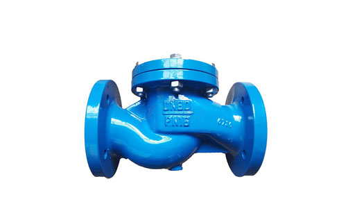 DIN Cast Iron check valve