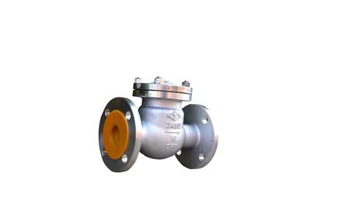 Stainless steel check valves