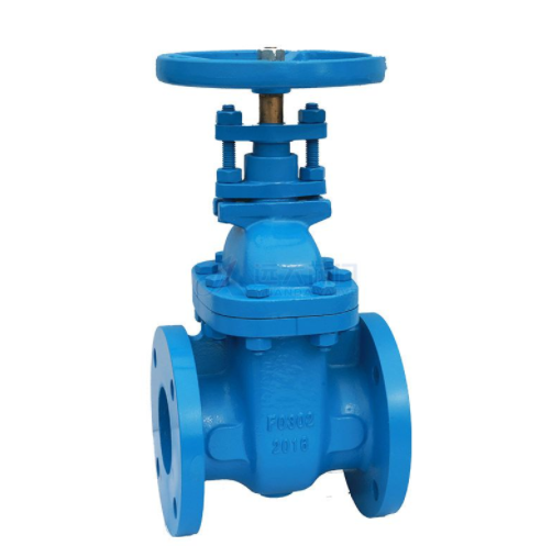 Cast Iron Valve