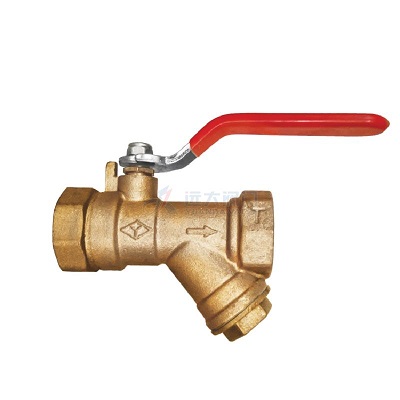 Strainer Valve