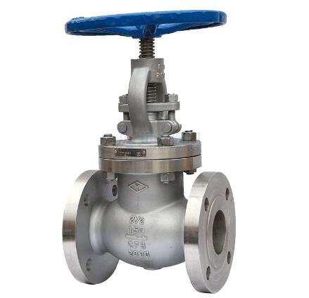 Stainless steel globe valve