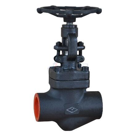 Forged steel globe valve