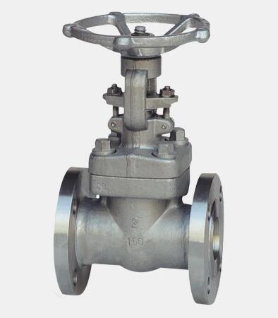 Forged steel globe valve