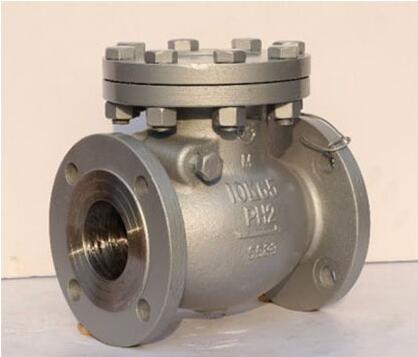 Check Valve