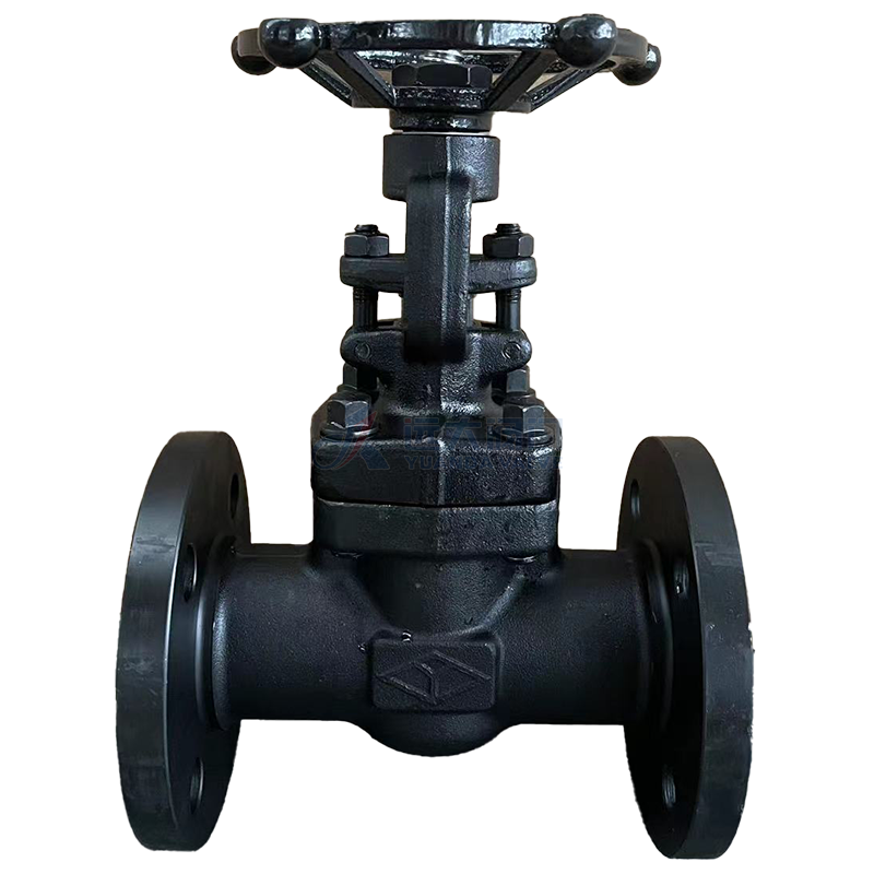 API602 Forged steel Gate valve 800#